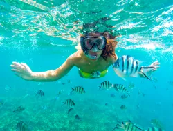 Orange Bay Island VIP Full Day Snorkeling Sea Trip and Water Sports